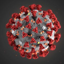 Corona virus